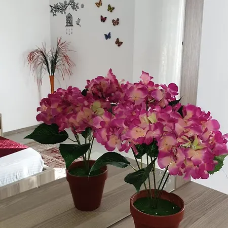 Apartament Apartament Dany Mamaia Nord *
